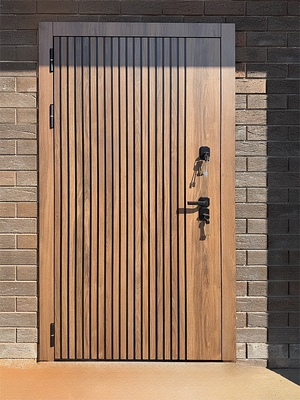 Уличная дверь в дом Уличная дверь в дом