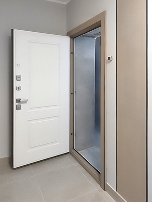 Квартирная дверь с МДФ RAL Квартирная дверь с МДФ RAL